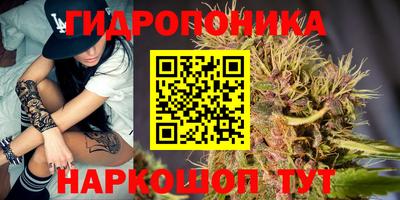 a pvp Ирбит