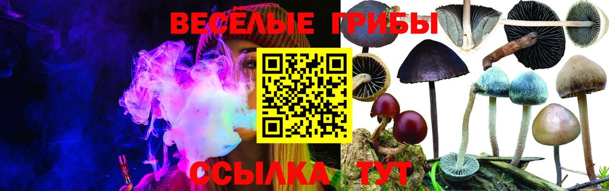 Арзамас  Псилоцибиновые грибы ЛСД  Псилоцибиновые грибы ЛСД  Вход с VPN 